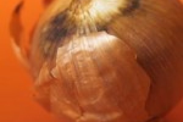 Kraken kraken link24 info