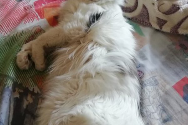 Ссылка на сайт кракен в тор