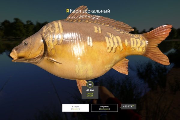 Кракен 2kr pro